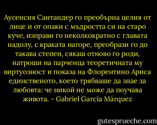 Аусенсия Сантандер го преобърна целия от лице и от опаки с мъдростта си на старо куче, изправи го неколкократно с главата надолу, с краката нагоре, преобрази го до такава степен, сякаш отново го роди, натроши на парченца теоретичната му виртуозност и показа на Флорентино Ариса единственото, което трябваше да знае за любовта: че никой не може да поучава живота. - Gabriel García Márquez