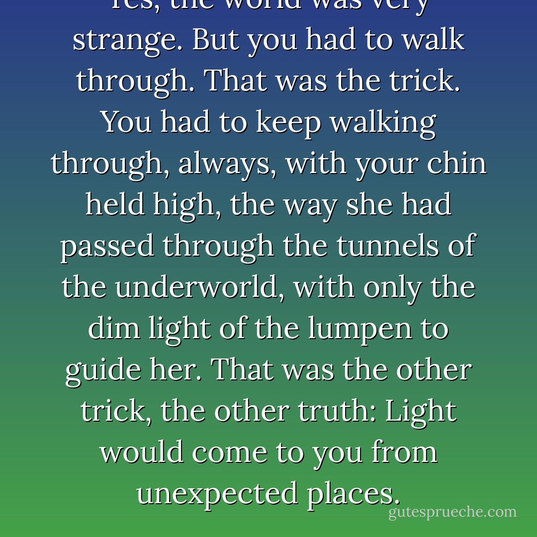 Yes, the world was very strange. But you had to walk through. That was the trick. You had to keep walking through, always, with your chin held high, the way she had passed through the tunnels of the underworld, with only the dim light of the lumpen to guide her. That was the other trick, the other truth: Light would come to you from unexpected places. - Lauren Oliver