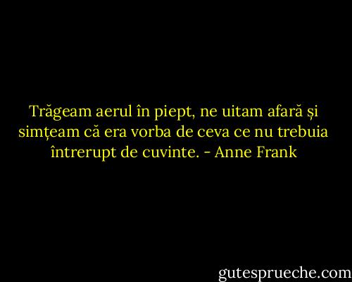 Trăgeam aerul în piept, ne uitam afară și simțeam că era vorba de ceva ce nu trebuia întrerupt de cuvinte. - Anne Frank