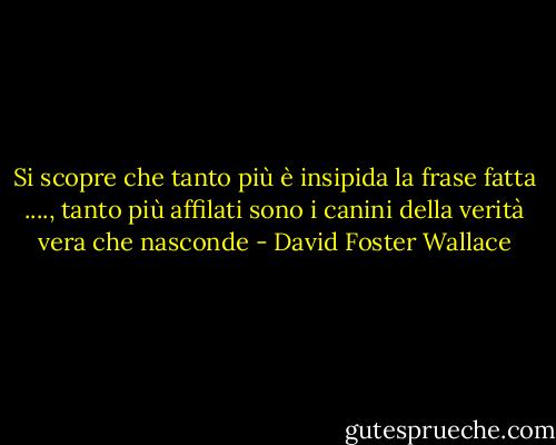 Si scopre che tanto più è insipida la frase fatta ...., tanto più affilati sono i canini della verità vera che nasconde - David Foster Wallace