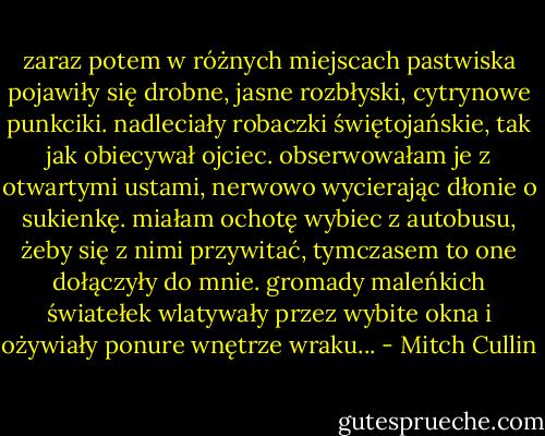 zaraz potem w różnych miejscach pastwiska pojawiły się drobne, jasne rozbłyski, cytrynowe punkciki. nadleciały robaczki świętojańskie, tak jak obiecywał ojciec. obserwowałam je z otwartymi ustami, nerwowo wycierając dłonie o sukienkę. miałam ochotę wybiec z autobusu, żeby się z nimi przywitać, tymczasem to one dołączyły do mnie. gromady maleńkich światełek wlatywały przez wybite okna i ożywiały ponure wnętrze wraku... - Mitch Cullin