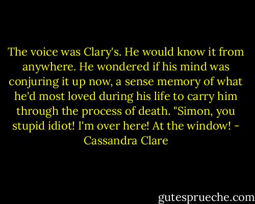 The voice was Clary's. He would know it from anywhere. He wondered if his mind was conjuring it up now, a sense memory of what he'd most loved during his life to carry him through the process of death. "Simon, you stupid idiot! I'm over here! At the window! - Cassandra Clare
