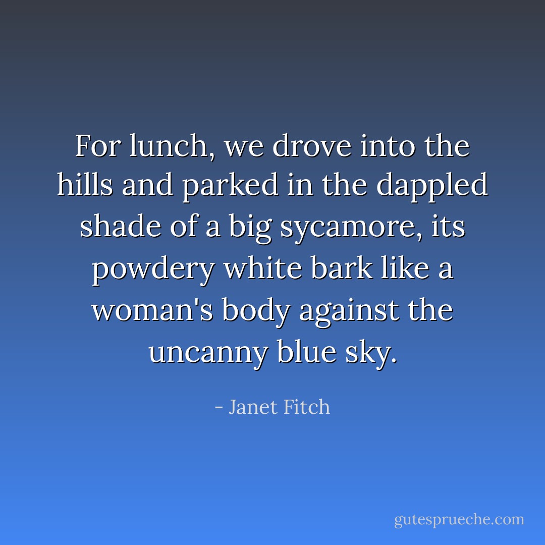 For lunch, we drove into the hills and parked in the dappled shade of a big sycamore, its powdery white bark like a woman's body against the uncanny blue sky. - Janet Fitch