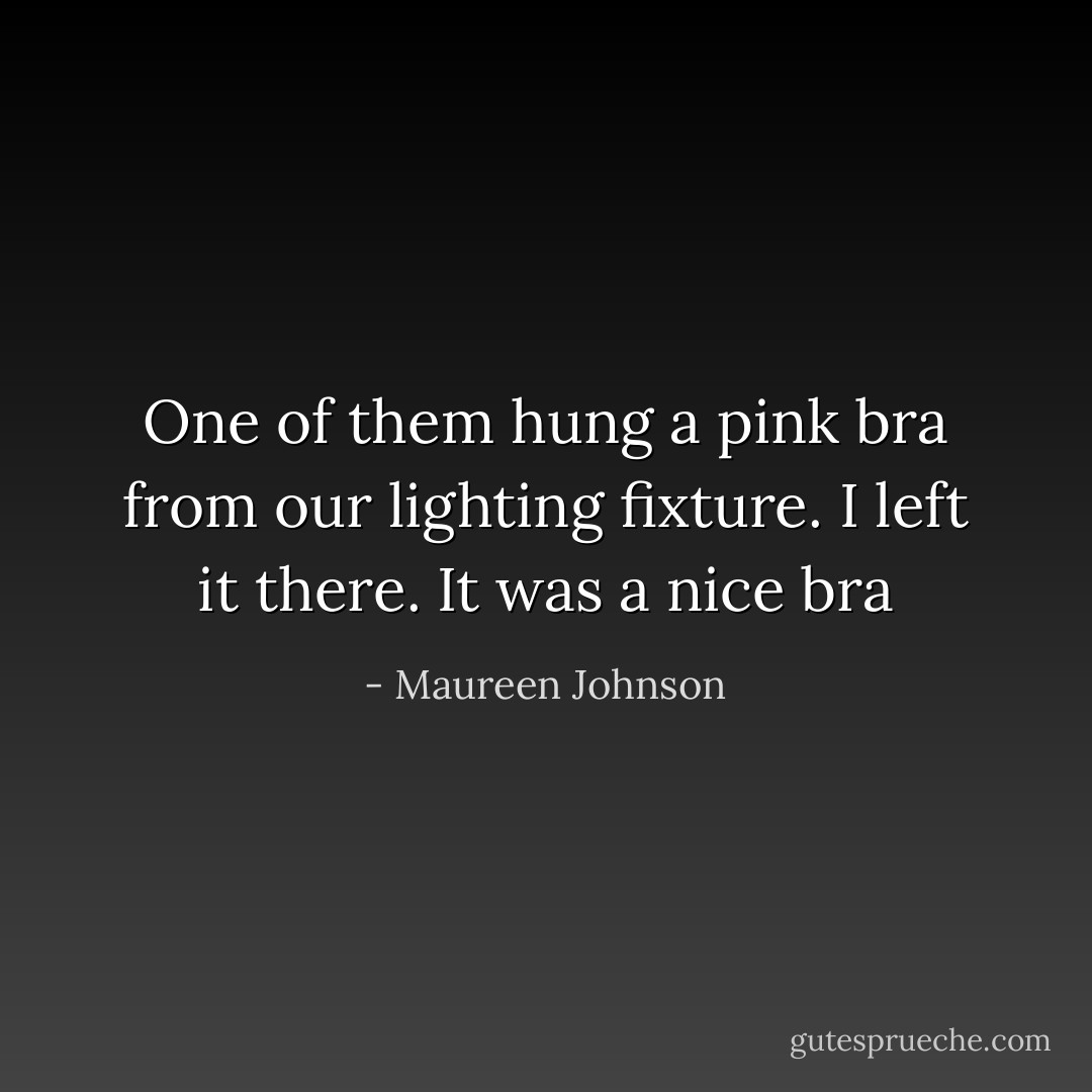 One of them hung a pink bra from our lighting fixture. I left it there. It was a nice bra - Maureen Johnson