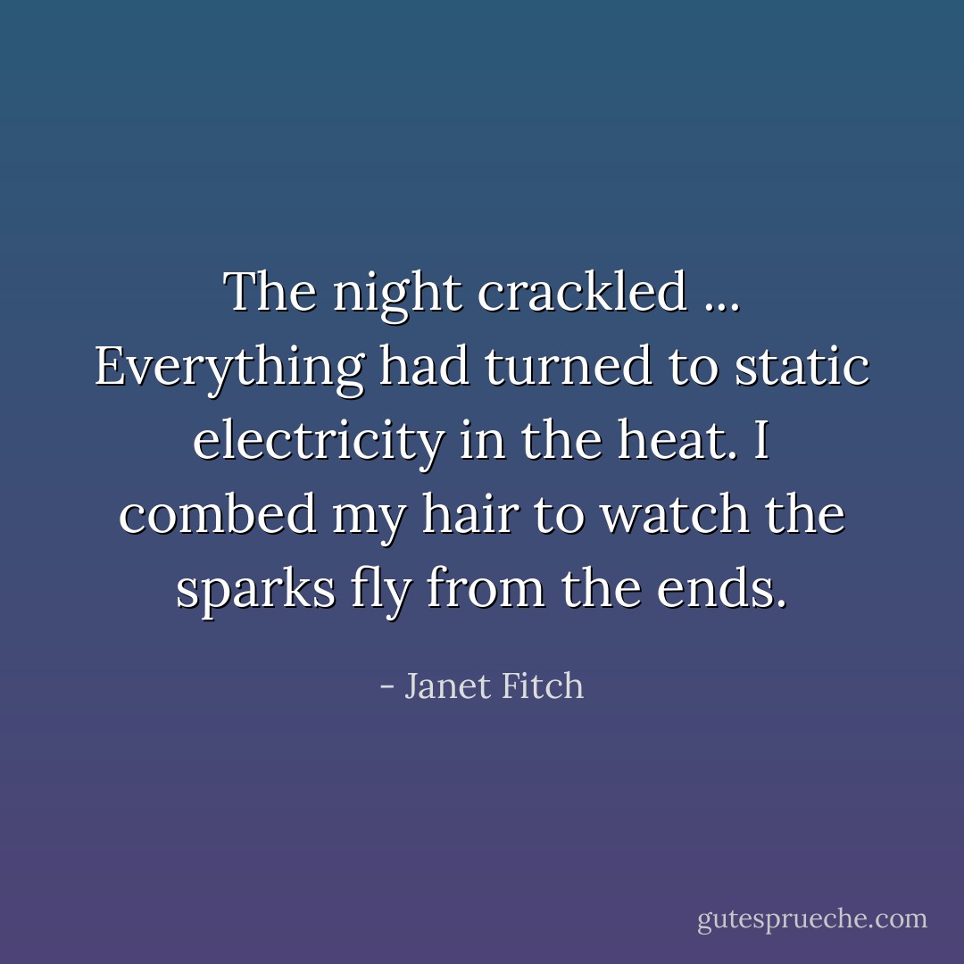 The night crackled ... Everything had turned to static electricity in the heat. I combed my hair to watch the sparks fly from the ends. - Janet Fitch