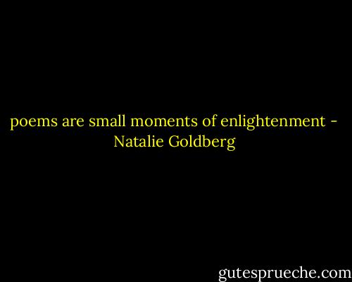 poems are small moments of enlightenment - Natalie Goldberg