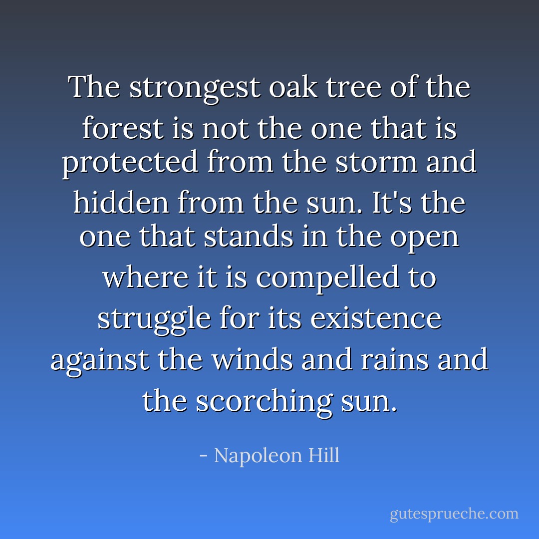 The strongest oak tree of the forest is not the one that is protected from the storm and hidden from the sun. It's the one that stands in the open where it is compelled to struggle for its existence against the winds and rains and the scorching sun. - Napoleon Hill