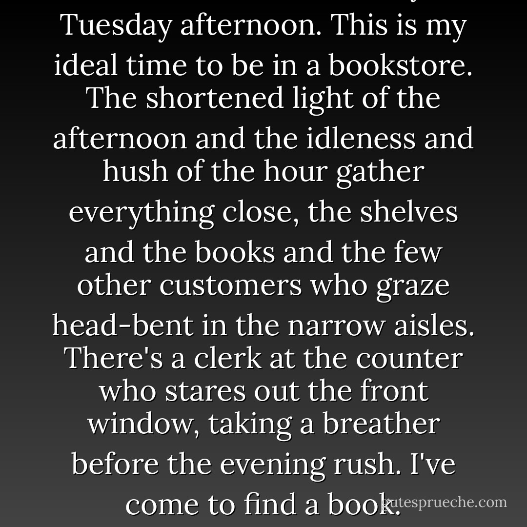 November, a dark, rainy Tuesday afternoon. This is my ideal time to be in a bookstore. The shortened light of the afternoon and the idleness and hush of the hour gather everything close, the shelves and the books and the few other customers who graze head-bent in the narrow aisles. There's a clerk at the counter who stares out the front window, taking a breather before the evening rush. I've come to find a book. - Lewis Buzbee