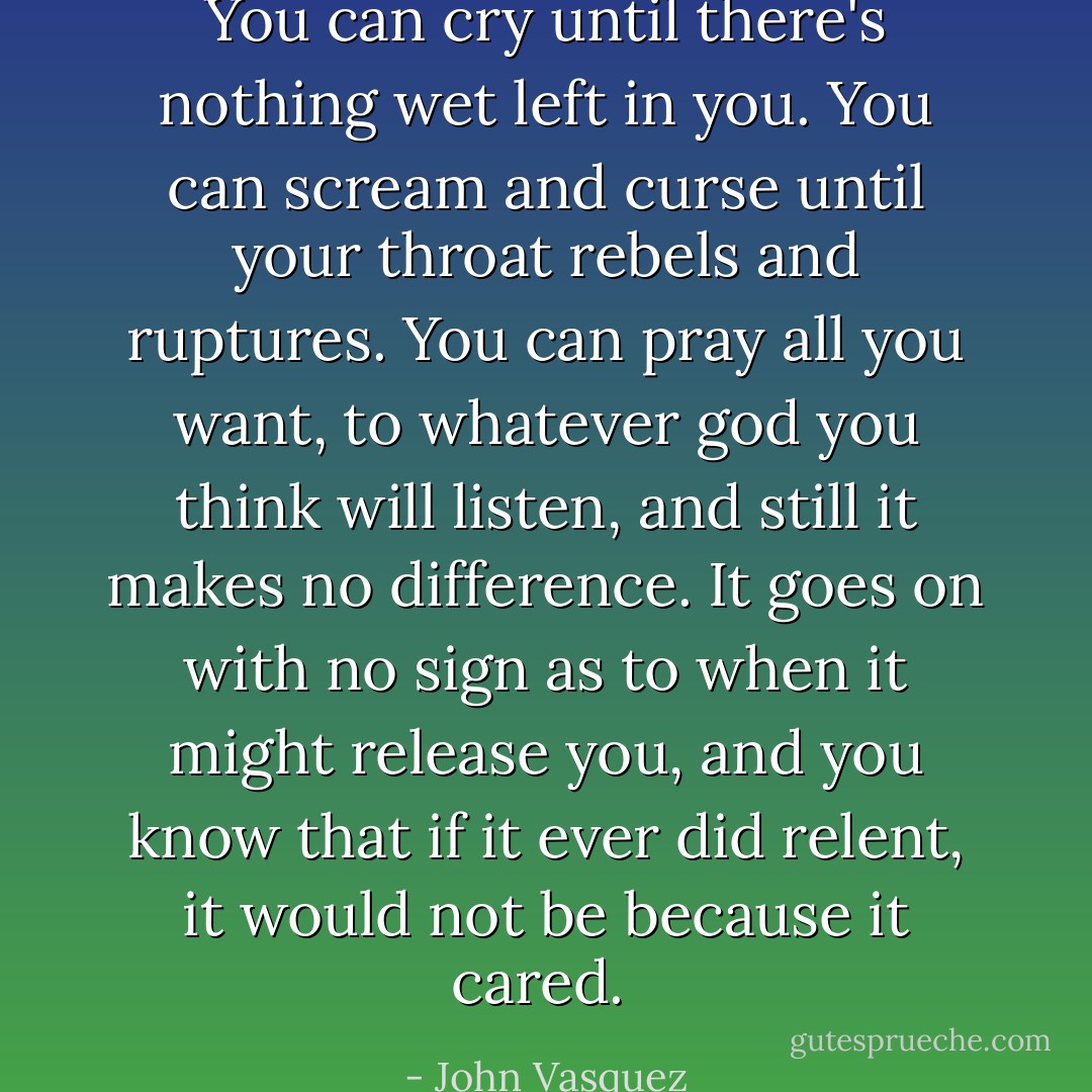You can cry until there's nothing wet left in you. You can scream and curse until your throat rebels and ruptures. You can pray all you want, to whatever god you think will listen, and still it makes no difference. It goes on with no sign as to when it might release you, and you know that if it ever did relent, it would not be because it cared.  - John Vasquez