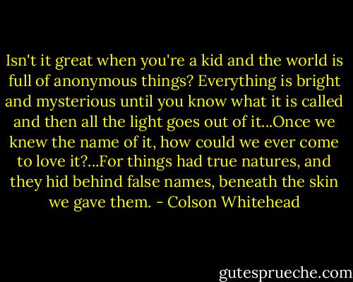 Isn't it great when you're a kid and the world is full of anonymous things? Everything is bright and mysterious until you know what it is called and then all the light goes out of it...Once we knew the name of it, how could we ever come to love it?...For things had true natures, and they hid behind false names, beneath the skin we gave them. - Colson Whitehead