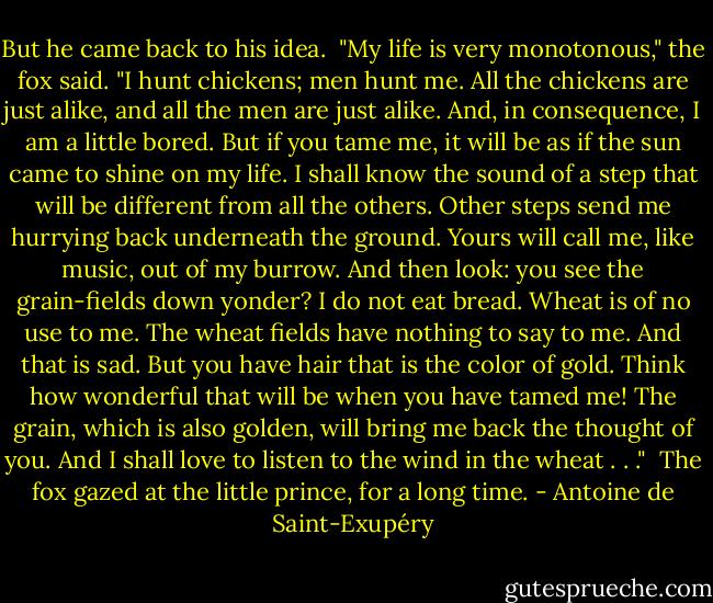 But he came back to his idea.<br /><br />"My life is very monotonous," the fox said. "I hunt chickens; men hunt me. All the chickens are just alike, and all the men are just alike. And, in consequence, I am a little bored. But if you tame me, it will be as if the sun came to shine on my life. I shall know the sound of a step that will be different from all the others. Other steps send me hurrying back underneath the ground. Yours will call me, like music, out of my burrow. And then look: you see the grain-fields down yonder? I do not eat bread. Wheat is of no use to me. The wheat fields have nothing to say to me. And that is sad. But you have hair that is the color of gold. Think how wonderful that will be when you have tamed me! The grain, which is also golden, will bring me back the thought of you. And I shall love to listen to the wind in the wheat . . ."<br /><br />The fox gazed at the little prince, for a long time. - Antoine de Saint-Exupéry