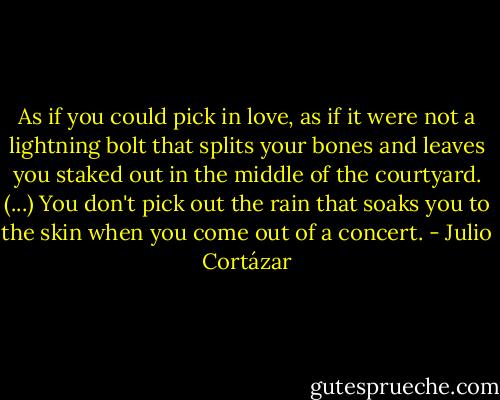 As if you could pick in love, as if it were not a lightning bolt that splits your bones and leaves you staked out in the middle of the courtyard. (...) You don't pick out the rain that soaks you to the skin when you come out of a concert. - Julio Cortázar