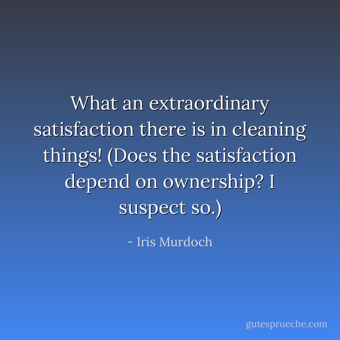 What an extraordinary satisfaction there is in cleaning things! (Does the satisfaction depend on ownership? I suspect so.) - Iris Murdoch