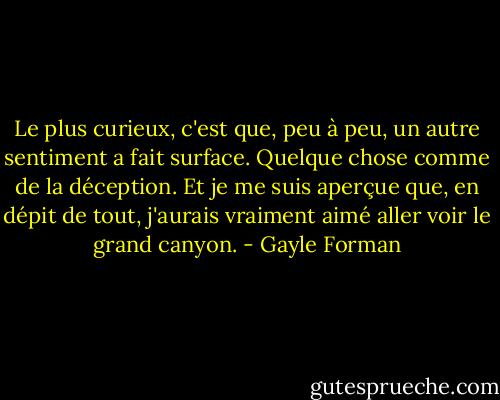 Le plus curieux, c'est que, peu à peu, un autre sentiment a fait surface. Quelque chose comme de la déception. Et je me suis aperçue que, en dépit de tout, j'aurais vraiment aimé aller voir le grand canyon. - Gayle Forman