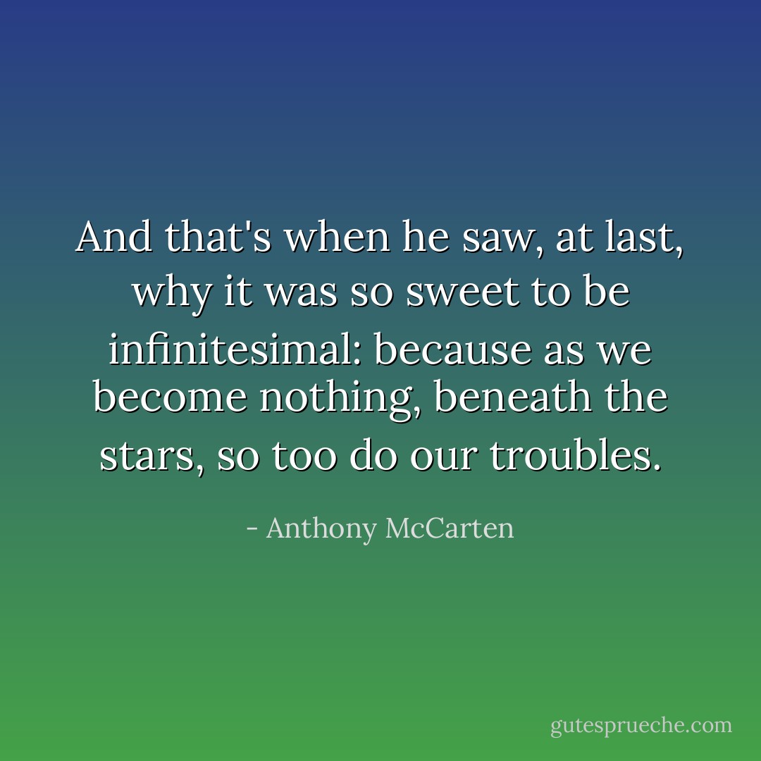 And that's when he saw, at last, why it was so sweet to be infinitesimal: because as we become nothing, beneath the stars, so too do our troubles. - Anthony McCarten