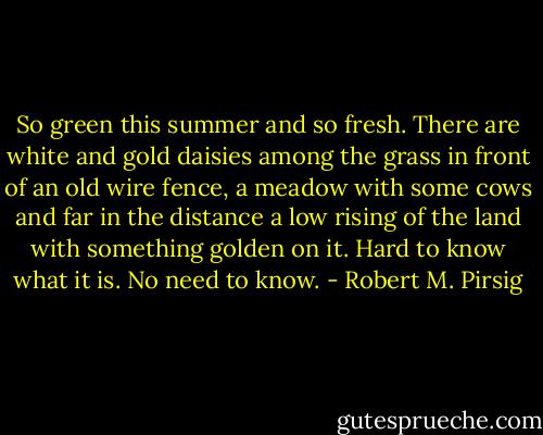 So green this summer and so fresh. There are white and gold daisies among the grass in front of an old wire fence, a meadow with some cows and far in the distance a low rising of the land with something golden on it. Hard to know what it is. No need to know. - Robert M. Pirsig