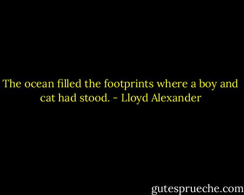 The ocean filled the footprints where a boy and cat had stood. - Lloyd Alexander