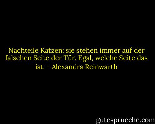 Nachteile Katzen:<br />sie stehen immer auf der falschen Seite der Tür. Egal, welche Seite das ist. - Alexandra Reinwarth