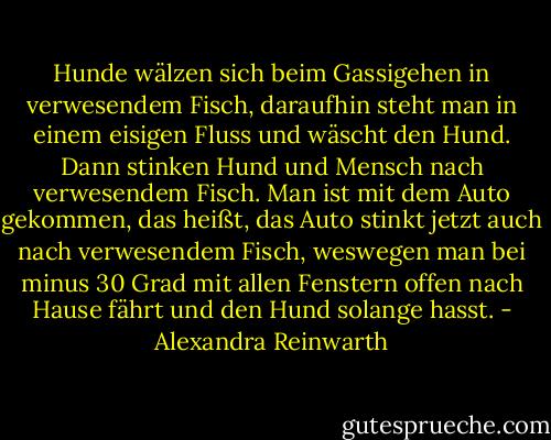 Hunde wälzen sich beim Gassigehen in verwesendem Fisch, daraufhin steht man in einem eisigen Fluss und wäscht den Hund. Dann stinken Hund und Mensch nach verwesendem Fisch. Man ist mit dem Auto gekommen, das heißt, das Auto stinkt jetzt auch nach verwesendem Fisch, weswegen man bei minus 30 Grad mit allen Fenstern offen nach Hause fährt und den Hund solange hasst. - Alexandra Reinwarth