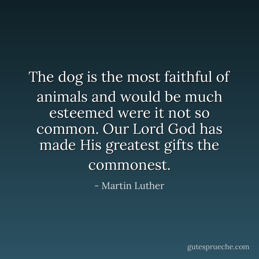 The dog is the most faithful of animals and would be much esteemed were it not so common. Our Lord God has made His greatest gifts the commonest. - Martin Luther