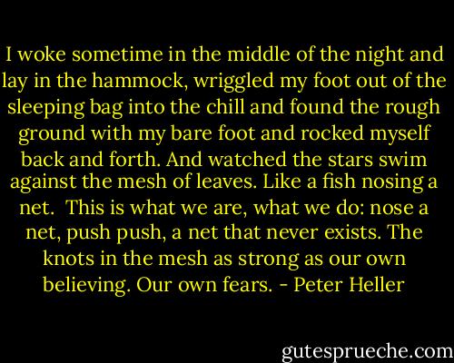 I woke sometime in the middle of the night and lay in the hammock, wriggled my foot out of the sleeping bag into the chill and found the rough ground with my bare foot and rocked myself back and forth. And watched the stars swim against the mesh of leaves. Like a fish nosing a net.<br /><br />This is what we are, what we do: nose a net, push push, a net that never exists. The knots in the mesh as strong as our own believing. Our own fears. - Peter Heller