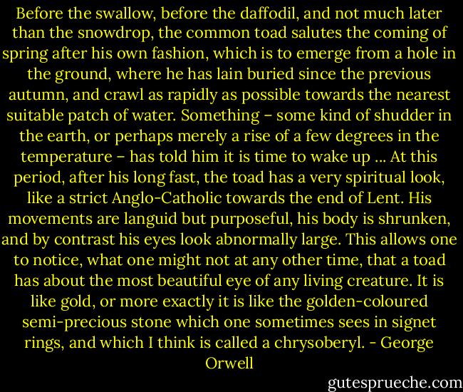 Before the swallow, before the daffodil, and not much later than the snowdrop, the common toad salutes the coming of spring after his own fashion, which is to emerge from a hole in the ground, where he has lain buried since the previous autumn, and crawl as rapidly as possible towards the nearest suitable patch of water. Something – some kind of shudder in the earth, or perhaps merely a rise of a few degrees in the temperature – has told him it is time to wake up ... At this period, after his long fast, the toad has a very spiritual look, like a strict Anglo-Catholic towards the end of Lent. His movements are languid but purposeful, his body is shrunken, and by contrast his eyes look abnormally large. This allows one to notice, what one might not at any other time, that a toad has about the most beautiful eye of any living creature. It is like gold, or more exactly it is like the golden-coloured semi-precious stone which one sometimes sees in signet rings, and which I think is called a chrysoberyl. - George Orwell