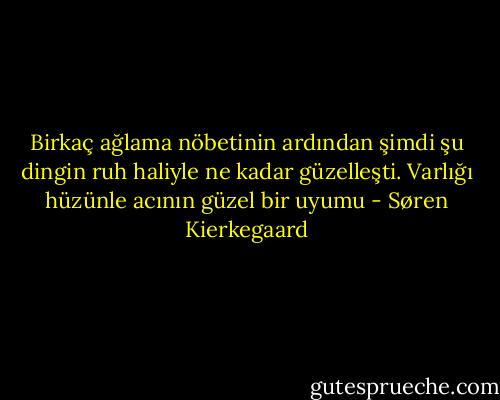 Birkaç ağlama nöbetinin ardından şimdi şu dingin ruh haliyle ne kadar güzelleşti. Varlığı hüzünle acının güzel bir uyumu - Søren Kierkegaard