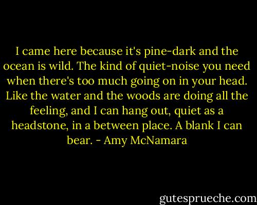 I came here because it's pine-dark and the ocean is wild. The kind of quiet-noise you need when there's too much going on in your head. Like the water and the woods are doing all the feeling, and I can hang out, quiet as a headstone, in a between place. A blank I can bear. - Amy McNamara