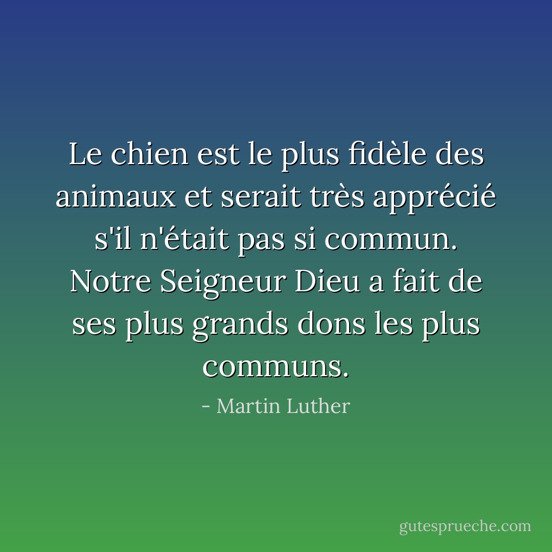 Le chien est le plus fidèle des animaux et serait très apprécié s'il n'était pas si commun. Notre Seigneur Dieu a fait de ses plus grands dons les plus communs. - Martin Luther