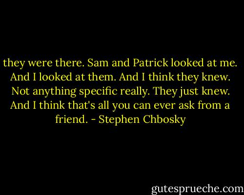 they were there. Sam and Patrick looked at me. And I looked at them. And I think they knew. Not anything specific really. They just knew. And I think that's all you can ever ask from a friend. - Stephen Chbosky