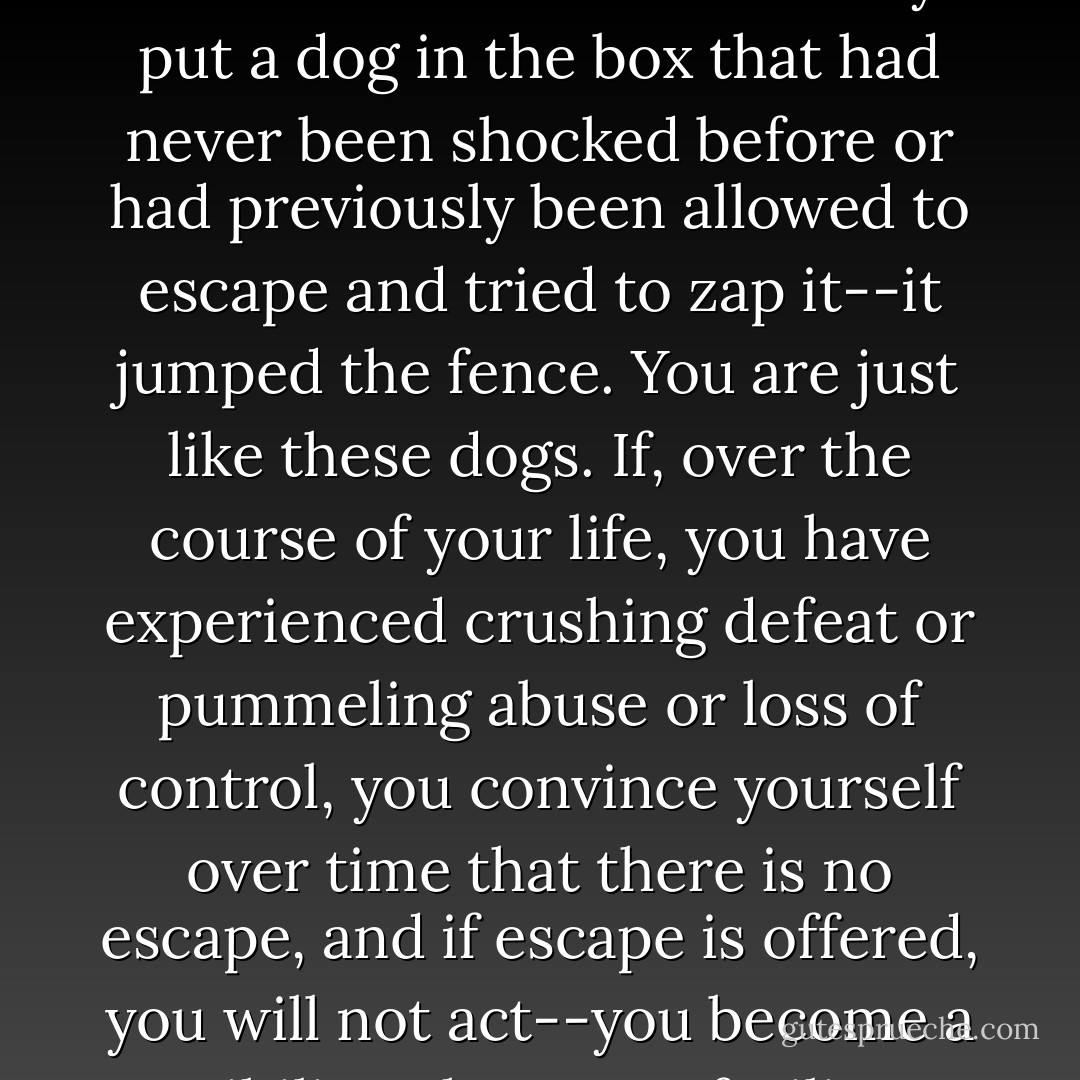 In 1965, a psychologist named Martin Seligman started shocking dogs.<br />He was trying to expand on the research of Pavlov--the guy who could make dogs salivate when they heard a bell ring. Seligman wanted to head in the other direction, and when he rang his bell, instead of providing food, he zapped the dogs with electricity. To keep them still, he restrained them in a harness during the experiment. After they were conditioned, he put these dogs in a big box with a little fence dividing it into two halves. He figured if the dog rang the bell, it would hop over the fence to escape, but it didn't. It just sat there and braced itself. They decided to try shocking the dog after the bell. The dog still just sat there and took it. When they put a dog in the box that had never been shocked before or had previously been allowed to escape and tried to zap it--it jumped the fence.<br />You are just like these dogs.<br />If, over the course of your life, you have experienced crushing defeat or pummeling abuse or loss of control, you convince yourself over time that there is no escape, and if escape is offered, you will not act--you become a nihilist who trusts futility above optimism.<br />Studies of the clinically depressed show that they often give in to defeat and stop trying. . .<br />Any extended period of negative emotions can lead to you giving in to despair and accepting your fate. If you remain alone for a long time, you will decide loneliness is a fact of life and pass up opportunities to hang out with people. The loss of control in any situation can lead to this state. . .<br />Choices, even small ones, can hold back the crushing weight of helplessness, but you can't stop there. You must fight back your behavior and learn to fail with pride. Failing often is the only way to ever get the things you want out of life. Besides death, your destiny is not inescapable. - David McRaney