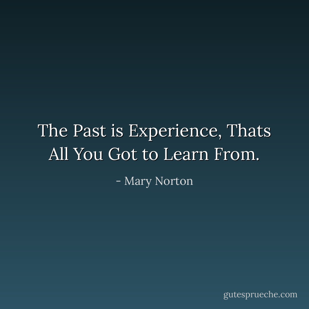 The Past is Experience, Thats All You Got to Learn From. - Mary Norton