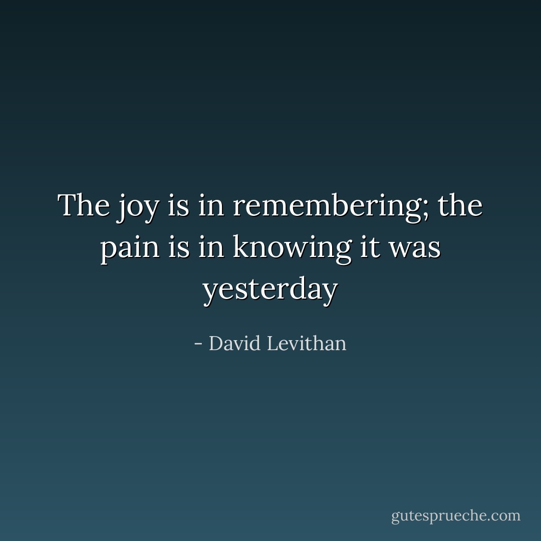 The joy is in remembering; the pain is in knowing it was yesterday - David Levithan