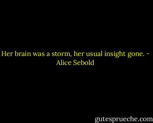 Her brain was a storm, her usual insight gone. - Alice Sebold