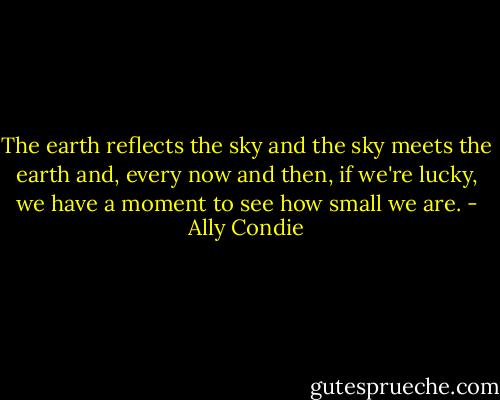 The earth reflects the sky and the sky meets the earth and, every now and then, if we're lucky, we have a moment to see how small we are. - Ally Condie