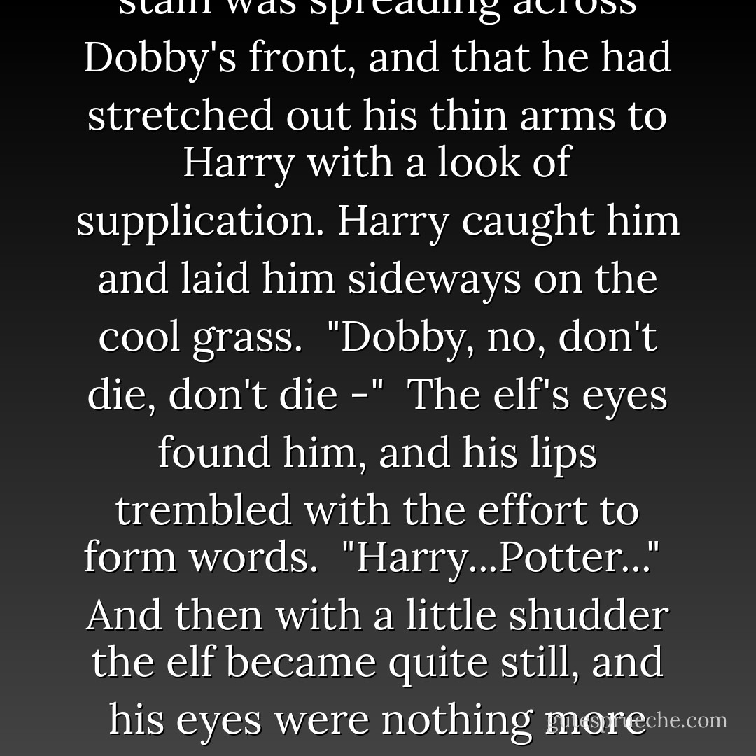 He did not know or care whether they were wizards or Muggles, friends or foes; all he cared about was that a dark stain was spreading across Dobby's front, and that he had stretched out his thin arms to Harry with a look of supplication. Harry caught him and laid him sideways on the cool grass.<br /><br />"Dobby, no, don't die, don't die -"<br /><br />The elf's eyes found him, and his lips trembled with the effort to form words.<br /><br />"Harry...Potter..."<br /><br />And then with a little shudder the elf became quite still, and his eyes were nothing more than great glassy orbs, sprinkled with light from the stars they could not see. - J.K. Rowling