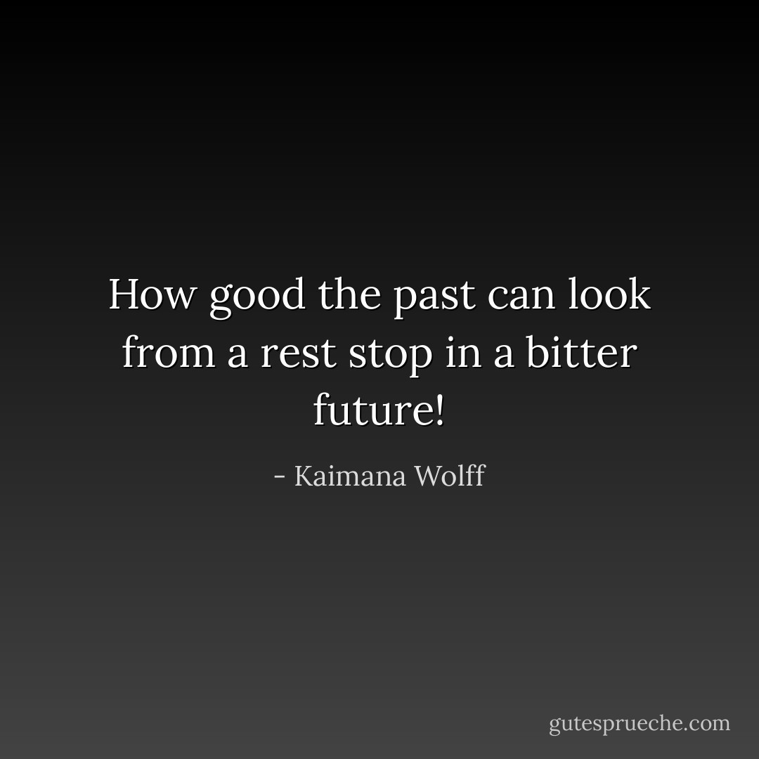 How good the past can look from a rest stop in a bitter future! - Kaimana Wolff