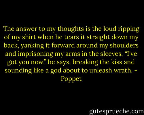 The answer to my thoughts is the loud ripping of my shirt when he tears it straight down my back, yanking it forward around my shoulders and imprisoning my arms in the sleeves.<br />“I've got you now,” he says, breaking the kiss and sounding like a god about to unleash wrath. - Poppet