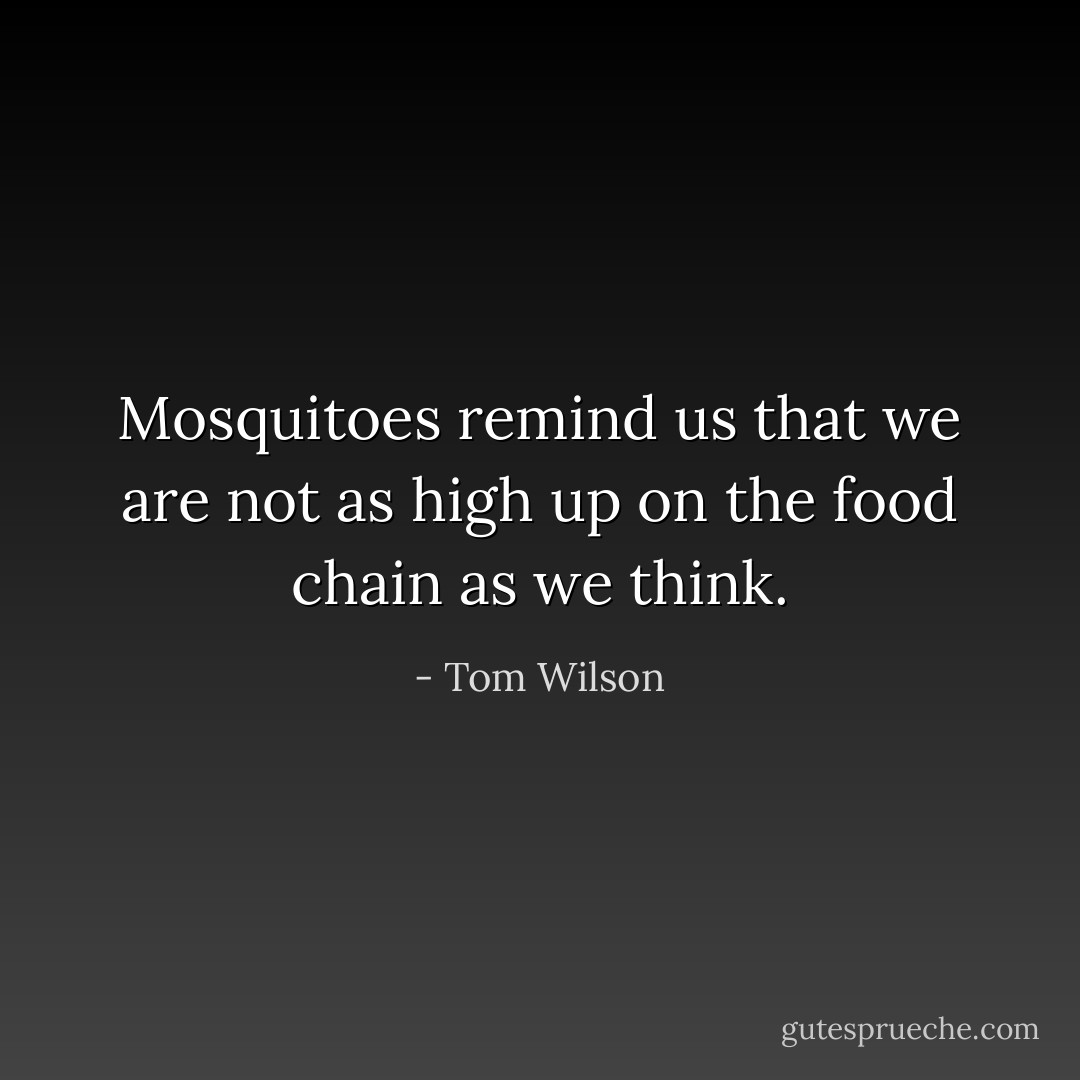 Mosquitoes remind us that we are not as high up on the food chain as we think. - Tom Wilson