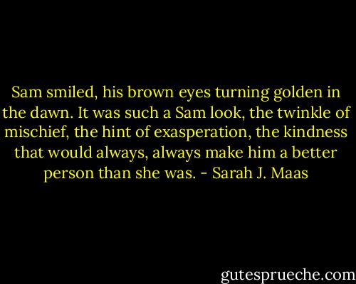 Sam smiled, his brown eyes turning golden in the dawn. It was such a Sam look, the twinkle of mischief, the hint of exasperation, the kindness that would always, always make him a better person than she was. - Sarah J. Maas