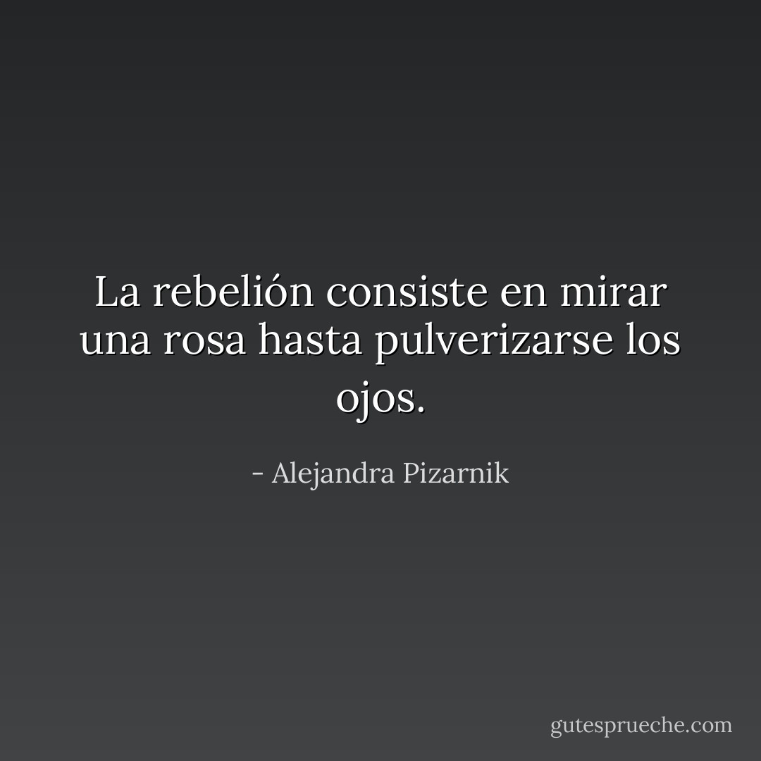 La rebelión consiste en mirar una rosa<br />hasta pulverizarse los ojos. - Alejandra Pizarnik
