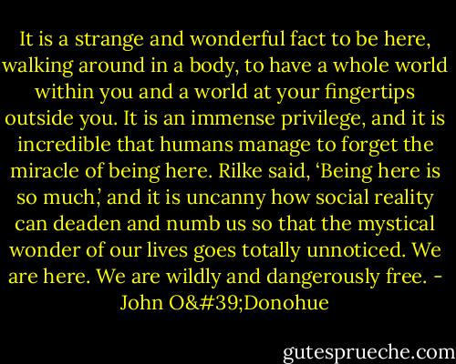 It is a strange and wonderful fact to be here, walking around in a body, to have a whole world within you and a world at your fingertips outside you. It is an immense privilege, and it is incredible that humans manage to forget the miracle of being here. Rilke said, ‘Being here is so much,’ and it is uncanny how social reality can deaden and numb us so that the mystical wonder of our lives goes totally unnoticed. We are here. We are wildly and dangerously free. - John O'Donohue
