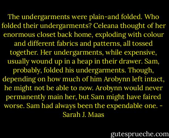 The undergarments were plain-and folded. Who folded their undergarments? Celeana thought of her enormous closet back home, exploding with colour and different fabrics and patterns, all tossed together. Her undergarments, while expensive, usually wound up in a heap in their drawer. Sam, probably, folded his undergarments. Though, depending on how much of him Arobynn left intact, he might not be able to now. Arobynn would never permanently main her, but Sam might have faired worse. Sam had always been the expendable one. - Sarah J. Maas
