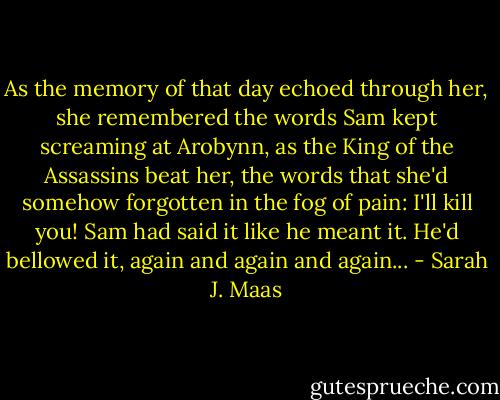 As the memory of that day echoed through her, she remembered the words Sam kept screaming at Arobynn, as the King of the Assassins beat her, the words that she'd somehow forgotten in the fog of pain: I'll kill you! Sam had said it like he meant it. He'd bellowed it, again and again and again... - Sarah J. Maas