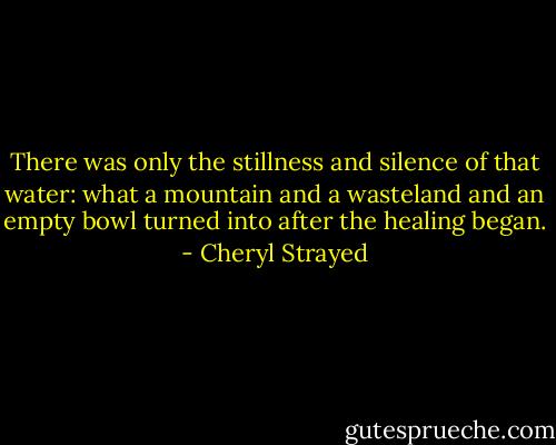 There was only the stillness and silence of that water: what a mountain and a wasteland and an empty bowl turned into after the healing began. - Cheryl Strayed