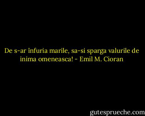 De s-ar înfuria marile, sa-si sparga valurile de inima omeneasca! - Emil M. Cioran