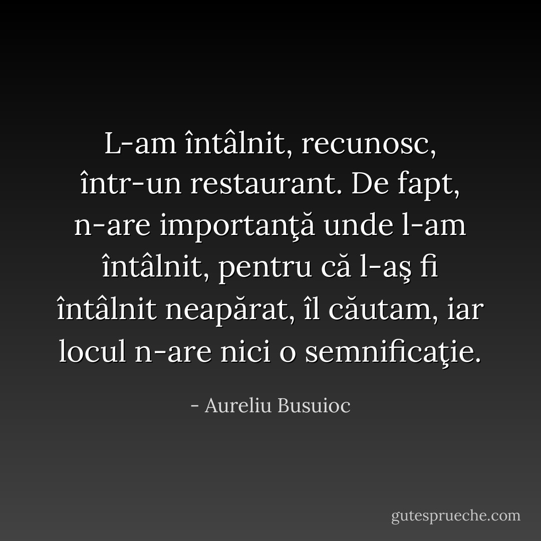 L-am întâlnit, recunosc, într-un restaurant. De fapt, n-are importanţă unde l-am întâlnit, pentru că l-aş fi întâlnit neapărat, îl căutam, iar locul n-are nici o semnificaţie. - Aureliu Busuioc