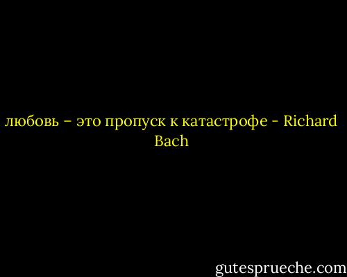 любовь – это пропуск к катастрофе - Richard Bach