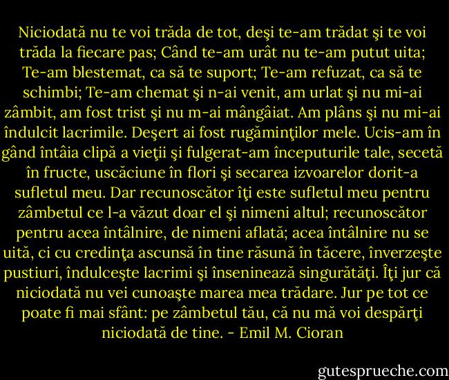 Niciodată nu te voi trăda de tot, deşi te-am trădat şi te voi trăda la fiecare pas; Când te-am urât nu te-am putut uita; Te-am blestemat, ca să te suport; Te-am refuzat, ca să te schimbi; Te-am chemat şi n-ai venit, am urlat şi nu mi-ai zâmbit, am fost trist şi nu m-ai mângâiat. Am plâns şi nu mi-ai îndulcit lacrimile. Deşert ai fost rugăminţilor mele. Ucis-am în gând întâia clipă a vieţii şi fulgerat-am începuturile tale, secetă în fructe, uscăciune în flori şi secarea izvoarelor dorit-a sufletul meu. Dar recunoscător îţi este sufletul meu pentru zâmbetul ce l-a văzut doar el şi nimeni altul; recunoscător pentru acea întâlnire, de nimeni aflată; acea întâlnire nu se uită, ci cu credinţa ascunsă în tine răsună în tăcere, înverzeşte pustiuri, îndulceşte lacrimi şi înseninează singurătăţi. Îţi jur că niciodată nu vei cunoaşte marea mea trădare. Jur pe tot ce poate fi mai sfânt: pe zâmbetul tău, că nu mă voi despărţi niciodată de tine. - Emil M. Cioran