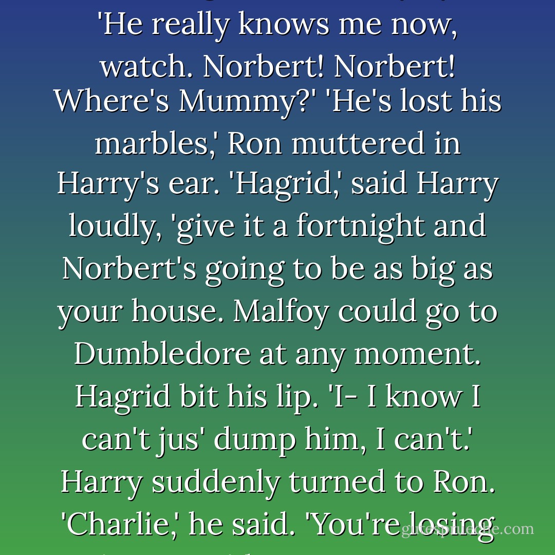 I've decided to call him Norbert,' said Hagrid, looking at the dragon with misty eyes. 'He really knows me now, watch. Norbert! Norbert! Where's Mummy?'<br />'He's lost his marbles,' Ron muttered in Harry's ear.<br />'Hagrid,' said Harry loudly, 'give it a fortnight and Norbert's going to be as big as your house. Malfoy could go to Dumbledore at any moment.<br />Hagrid bit his lip.<br />'I- I know I can't jus' dump him, I can't.'<br />Harry suddenly turned to Ron.<br />'Charlie,' he said.<br />'You're losing it too,' said Ron. 'I'm Ron, remember? - J.K. Rowling